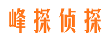 青川市侦探公司